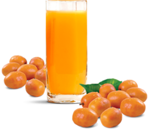 Suco - cajá com leite, 400ml